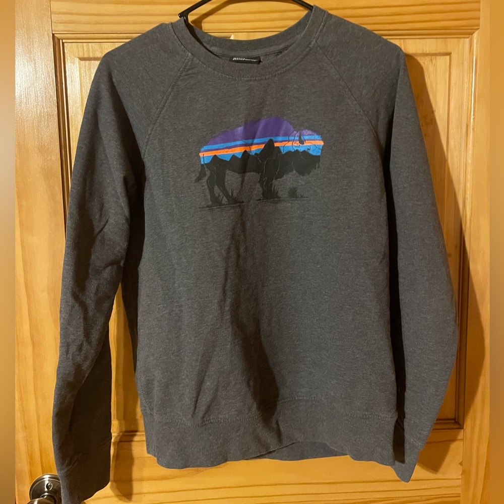 Patagonia Sweatshirt